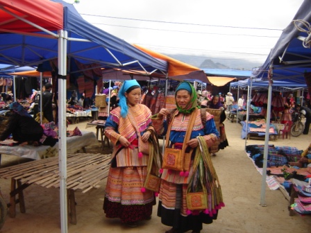 bac ha 71